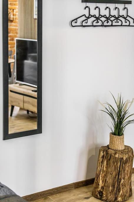 Apartmán Rzeznicza 24 Vratislav Exteriér fotografie